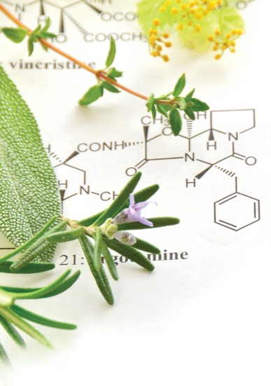 Leafs image background